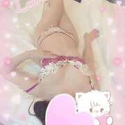 ヒメ日記 2025/01/27 20:47 投稿 小嶋　美玲 東京ローズマリー