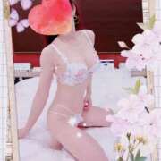 ヒメ日記 2025/04/26 16:07 投稿 小嶋　美玲 東京ローズマリー