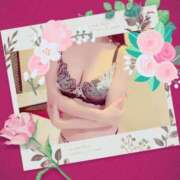 ヒメ日記 2025/05/15 15:17 投稿 小嶋　美玲 東京ローズマリー