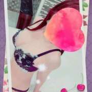 ヒメ日記 2025/06/02 19:47 投稿 小嶋　美玲 東京ローズマリー