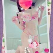 ヒメ日記 2025/06/21 17:10 投稿 小嶋　美玲 東京ローズマリー