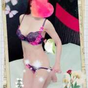 ヒメ日記 2025/06/25 19:47 投稿 小嶋　美玲 東京ローズマリー