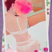 ヒメ日記 2025/08/20 20:37 投稿 小嶋　美玲 東京ローズマリー