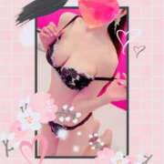 ヒメ日記 2025/09/08 17:57 投稿 小嶋　美玲 東京ローズマリー