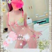 ヒメ日記 2025/10/30 19:57 投稿 小嶋　美玲 東京ローズマリー