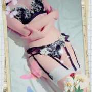 ヒメ日記 2025/11/03 20:27 投稿 小嶋　美玲 東京ローズマリー