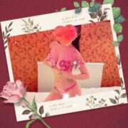 ヒメ日記 2025/11/06 20:57 投稿 小嶋　美玲 東京ローズマリー