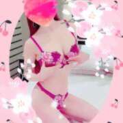 ヒメ日記 2026/01/30 21:27 投稿 小嶋　美玲 東京ローズマリー