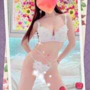 ヒメ日記 2026/04/02 20:17 投稿 小嶋　美玲 東京ローズマリー