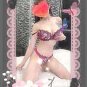 ヒメ日記 2026/04/13 21:27 投稿 小嶋　美玲 東京ローズマリー