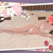 ヒメ日記 2026/04/15 21:07 投稿 小嶋　美玲 東京ローズマリー