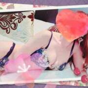 ヒメ日記 2026/04/17 20:37 投稿 小嶋　美玲 東京ローズマリー