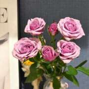 ヒメ日記 2026/02/24 12:16 投稿 あいの 綺麗なお姉様専門　町田リング4C（アンジェリークグループ）