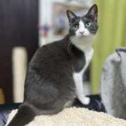 ヒメ日記 2024/12/17 14:20 投稿 れん セクシーキャット 神田店