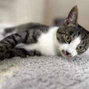 ヒメ日記 2025/01/12 14:27 投稿 れん セクシーキャット 神田店