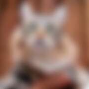 ヒメ日記 2025/10/25 14:34 投稿 れん セクシーキャット 神田店