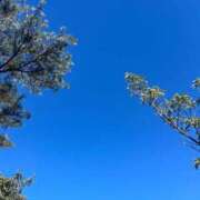 ヒメ日記 2025/01/07 12:49 投稿 優里愛（ゆりあ） エスペランサ新館