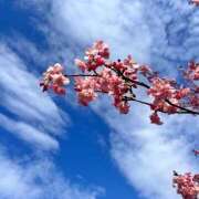 ヒメ日記 2025/02/28 11:02 投稿 ゆうり ぺろぺろベロベロ専科 ぺろんちょ