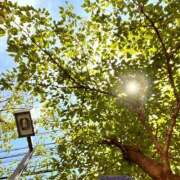 ヒメ日記 2025/06/21 20:55 投稿 ゆうり ぺろぺろベロベロ専科 ぺろんちょ