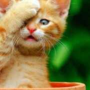 ヒメ日記 2025/07/18 16:12 投稿 えな 人妻28