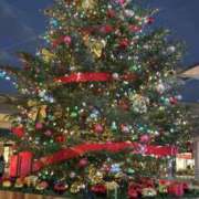 ヒメ日記 2025/12/11 15:49 投稿 いお 山梨デリヘル 絆