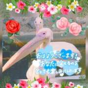 ヒメ日記 2025/08/23 06:00 投稿 りあ みせすはーと