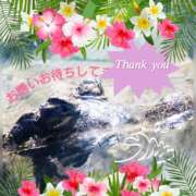 ヒメ日記 2025/08/29 07:15 投稿 りあ みせすはーと