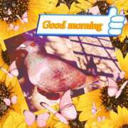 ヒメ日記 2025/11/06 07:35 投稿 りあ みせすはーと