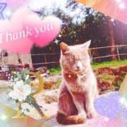 ヒメ日記 2026/02/11 10:11 投稿 りあ みせすはーと