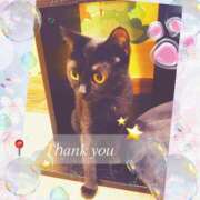 ヒメ日記 2026/04/09 10:34 投稿 りあ みせすはーと