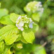 ヒメ日記 2025/06/07 10:46 投稿 ふじこ 人妻倶楽部内緒の関係 柏店