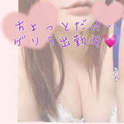 ヒメ日記 2025/06/10 11:41 投稿 ふじこ 人妻倶楽部内緒の関係 柏店