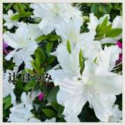 ヒメ日記 2025/04/30 08:34 投稿 辻　はつみ OLピンクコレクション