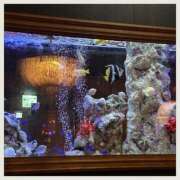 ヒメ日記 2025/06/02 08:41 投稿 辻　はつみ OLピンクコレクション