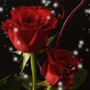 ヒメ日記 2025/03/27 13:24 投稿 愛咲 熟女の風俗最終章 横浜本店