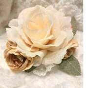 ヒメ日記 2026/04/17 16:54 投稿 愛咲 熟女の風俗最終章 横浜本店