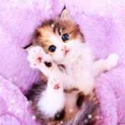 ヒメ日記 2026/04/26 13:11 投稿 愛咲 熟女の風俗最終章 横浜本店