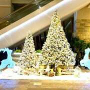 ヒメ日記 2025/12/18 22:08 投稿 島田　みき 未熟な人妻