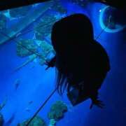 島田　みき 次回出勤 未熟な人妻