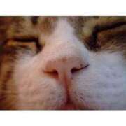 ヒメ日記 2025/09/26 14:42 投稿 えな 桃色奥様 松戸本店