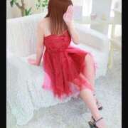 ヒメ日記 2024/12/19 15:22 投稿 とわ ロイヤル土佐