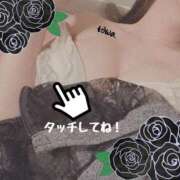 ヒメ日記 2025/03/14 15:14 投稿 とわ ロイヤル土佐