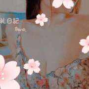 ヒメ日記 2025/05/19 07:01 投稿 とわ ロイヤル土佐