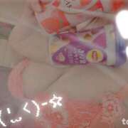 ヒメ日記 2026/01/19 08:06 投稿 とわ ロイヤル土佐