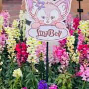 ヒメ日記 2025/02/28 19:56 投稿 えりか デザインプリズム新宿