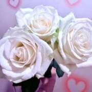 ヒメ日記 2025/11/17 17:31 投稿 らん 花夫人