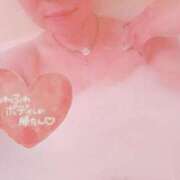 ヒメ日記 2025/11/27 02:40 投稿 らん 花夫人