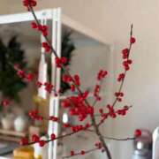 ヒメ日記 2025/12/10 22:09 投稿 らん 花夫人