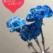 ヒメ日記 2025/12/11 14:38 投稿 らん 花夫人