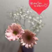 ヒメ日記 2025/12/17 10:23 投稿 らん 花夫人